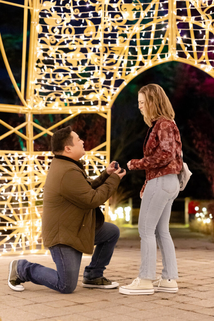 Man on one knee proposing to girlfriend inside a glowing gazebo at NY Botanical Garden